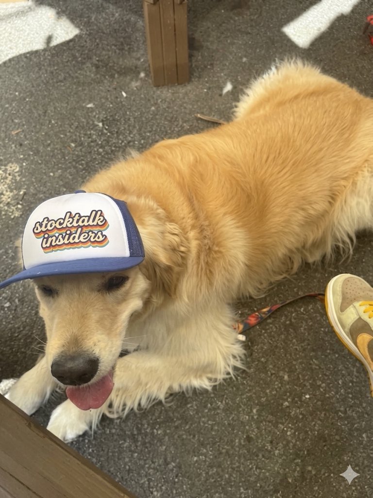EVTOLCommander's tweet photo. Some folks wish they could be doing something for dogs in need(cough @aleabitoreddit ) meanwhile @stocktalkweekly and I already on that wave. Please stop copying us losers 🥱 https://t.co/akIatZXisP