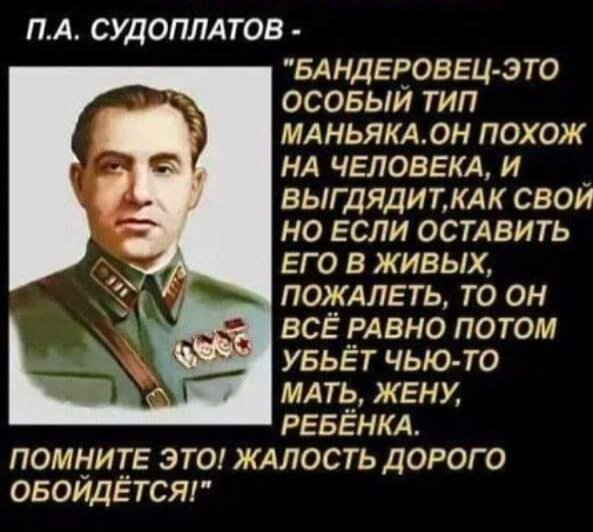 Vатник Терана 🇷🇺 tweet media