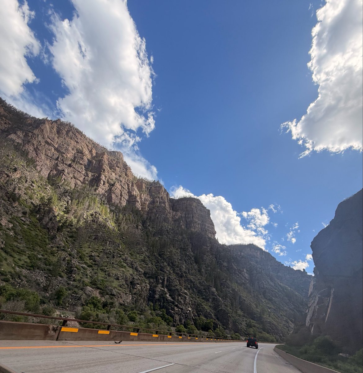 Terroriser tweet media