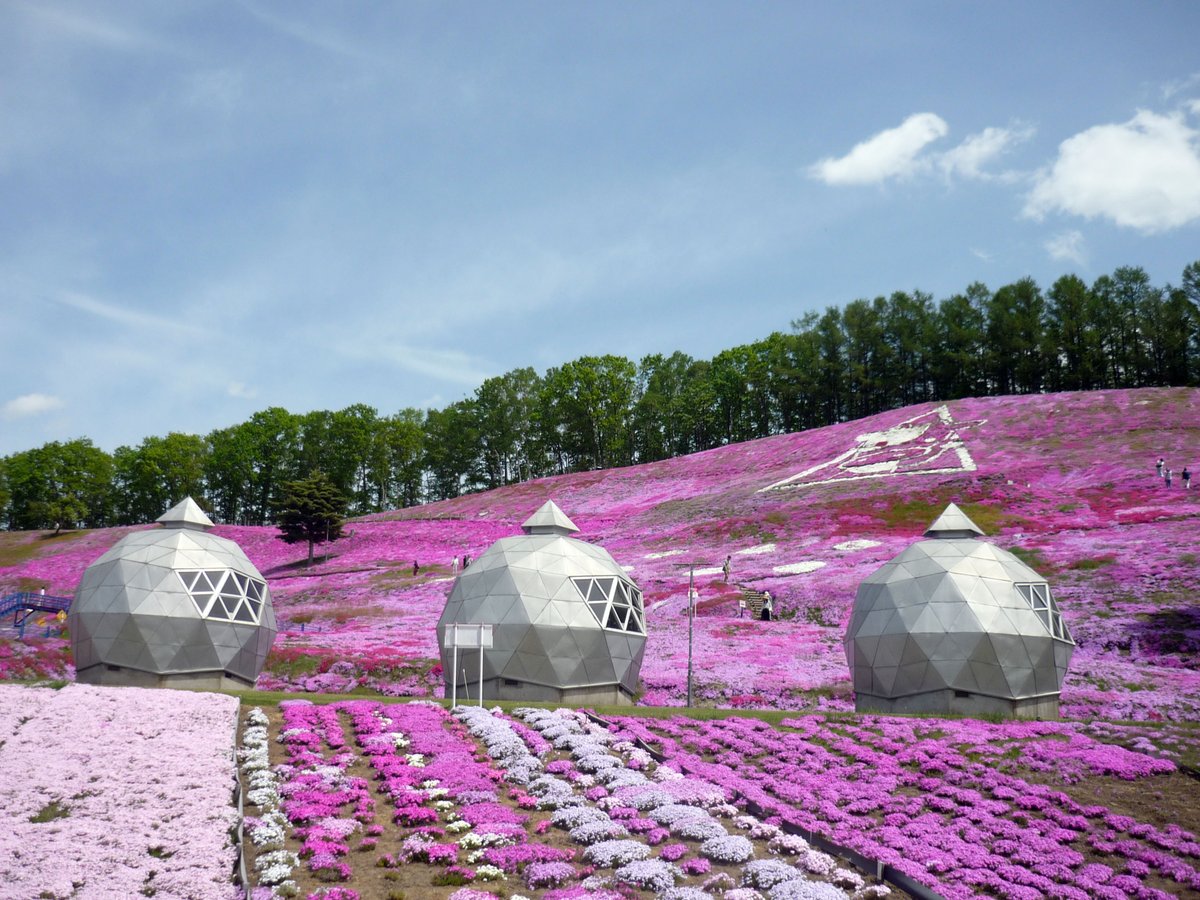 higashimokoto_s's tweet photo. ひがしもこと芝桜まつりも、残すところ５月３０日（土）と３１日（日）の２日間となりました🌸南向き斜面と西向き斜面が色あせてきましたので、土日の入園料を値下げいたします🥰
🌸中学生以上７００円→５００円🌸
🌸小　学　生３００円→２００円🌸
※他の割引と併用できませんのでご了承願います。 https://t.co/51iLbJuSnU