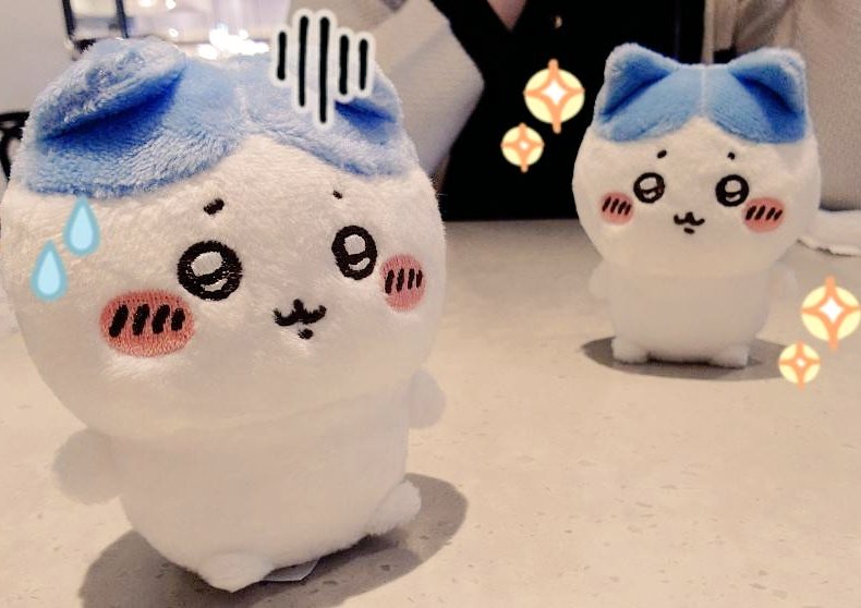 usakochan25's tweet photo. この前のハチワレぬいの体型を比較した写真にちょっと可愛いスタンプつけてみた✨😸手前の焦ってるのは我が家の太り気味ハチワレぬいです(笑)友のハチワレちゃんはスタイルが良い https://t.co/8yoXQWLA0a
