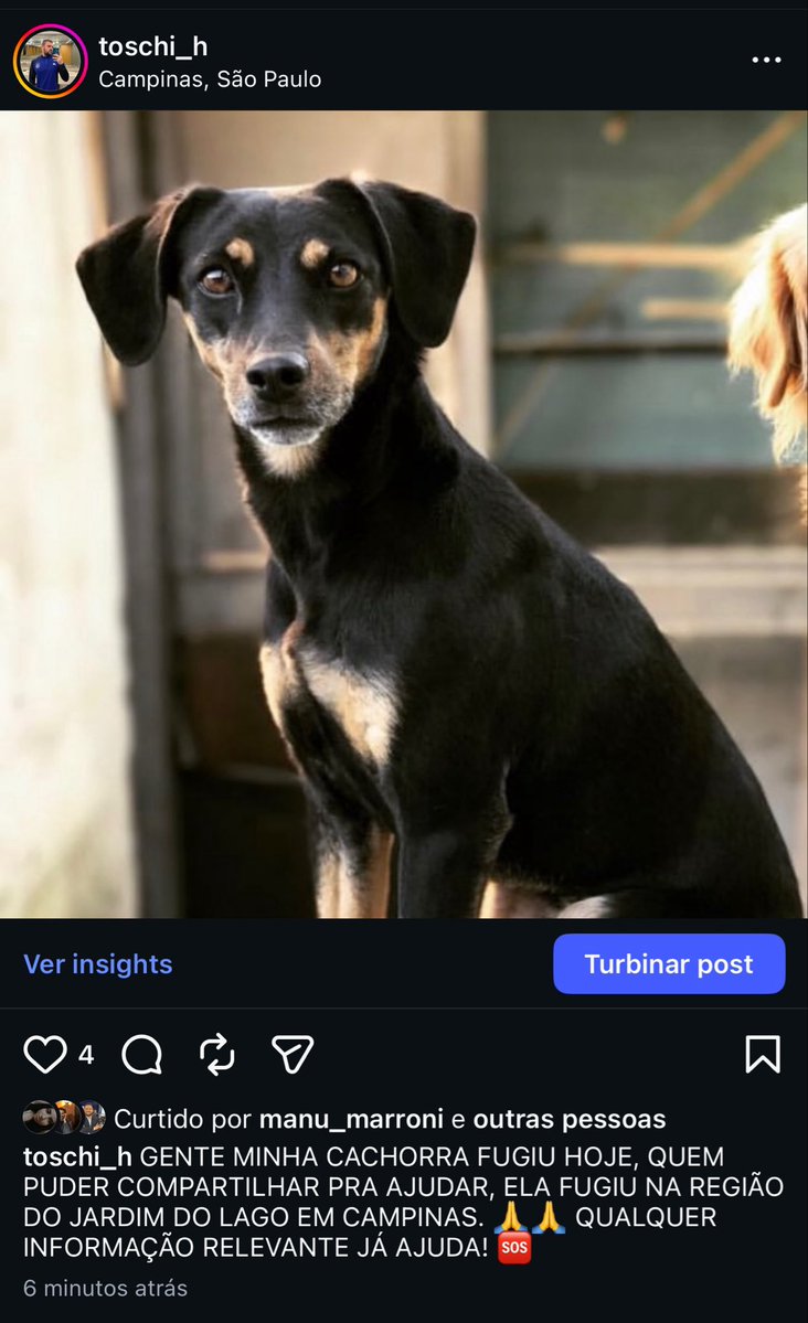 Hugo tweet media