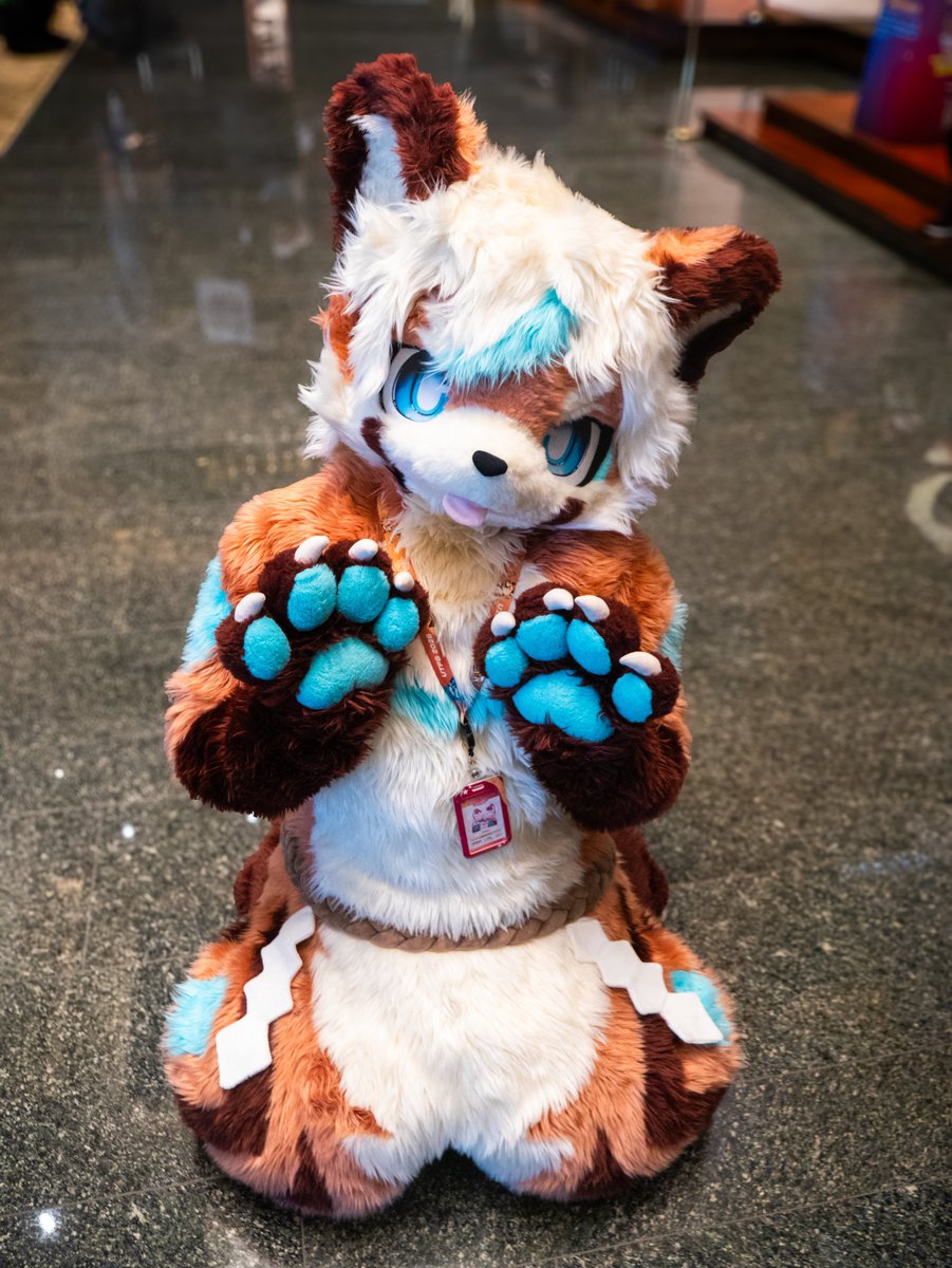 ggousuke555's tweet photo. これは遊んで欲しいらんちょ
#FursuitFriday https://t.co/U9GaJ4RH4h