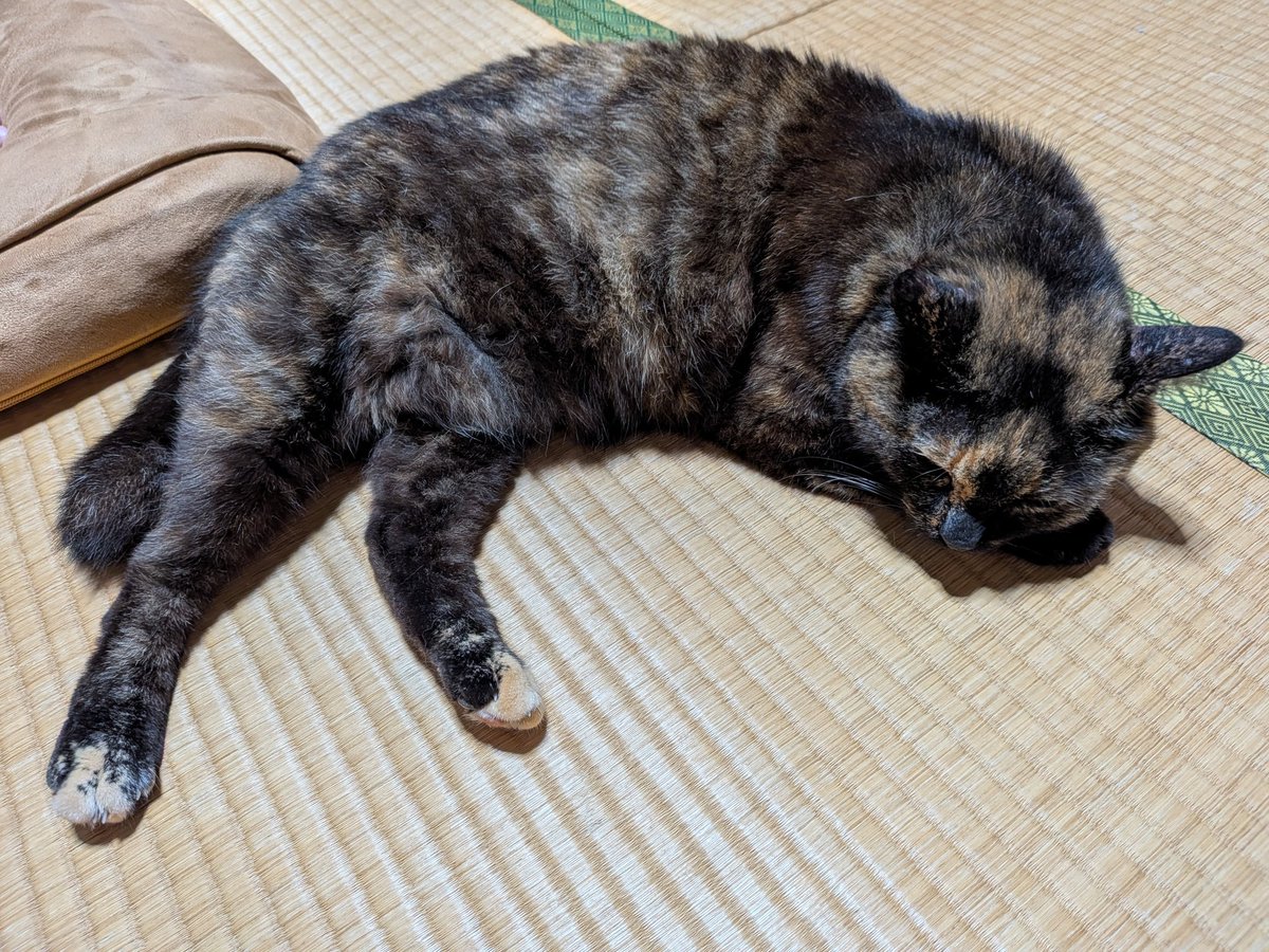 ナオ☘️ tweet media
