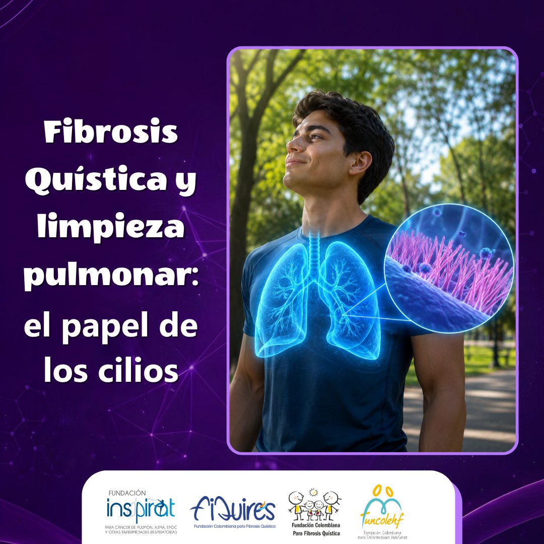InspiratCol's tweet photo. En los pulmones, los cilios ayudan a mover el moco y limpiar las vías respiratorias
En #FibrosisQuística, el moco espeso dificulta esta función, favoreciendo acumulación, infecciones e inflamación. Por eso, la fisioterapia respiratoria diaria es clave para el bienestar
#FIQUIRES https://t.co/G6Y7cuQ5LI