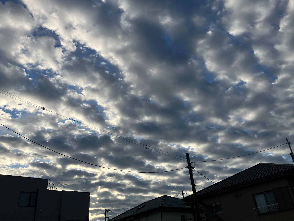 こやましほ tweet media