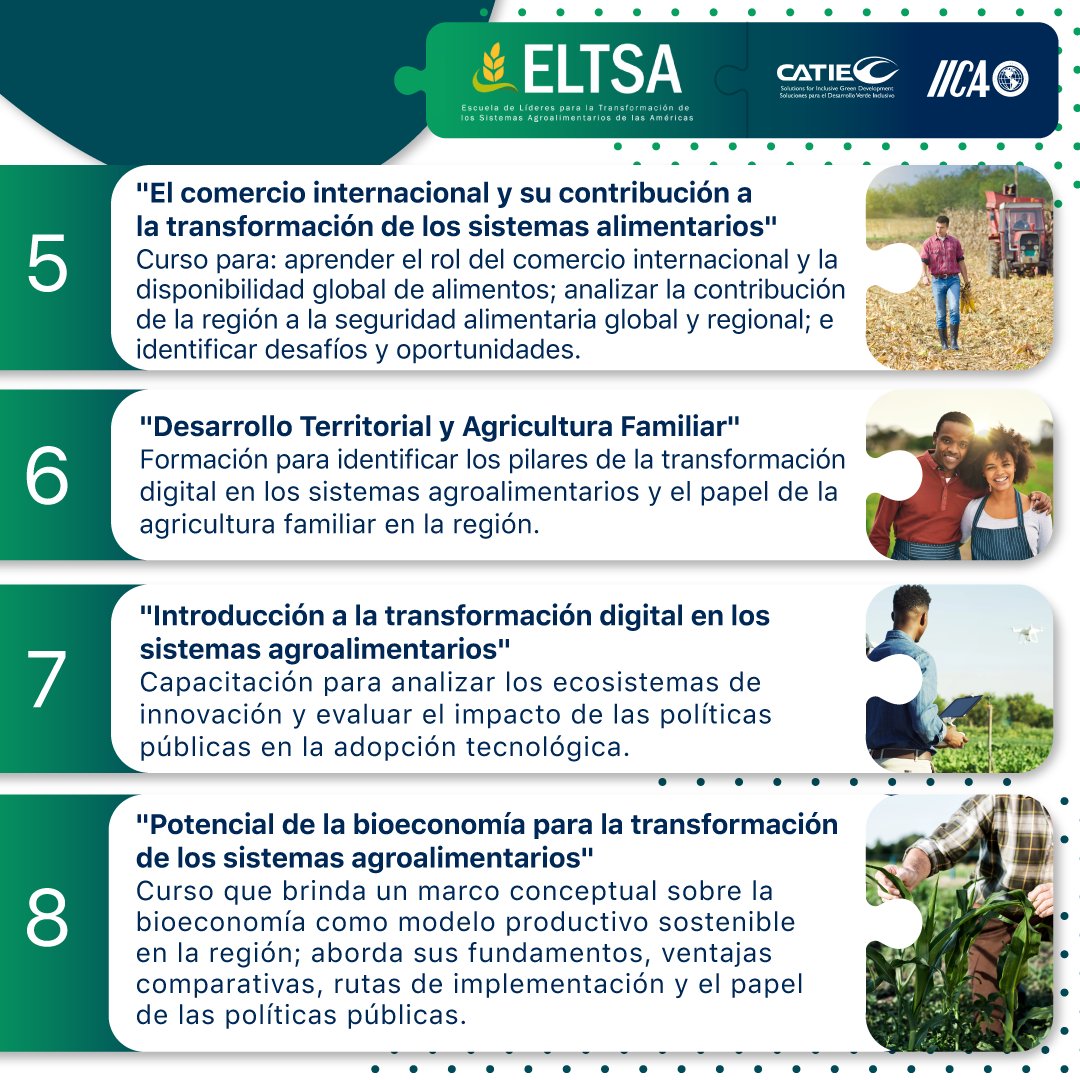 IICAnoticias's tweet photo. 🎓 Capacítate para liderar el cambio agroalimentario.

🙌 Conoce aquí los cursos de la Escuela de Líderes para la Transformación de los Sistemas Agroalimentarios (ELTSA) y prepárate para impulsar sistemas agroalimentarios más sostenibles, inclusivos y resilientes en las Américas. 🌱

Postúlate ahora: https://t.co/h2ATU1XSJF 

🌐 Más información: https://t.co/eEeWURtv7k 
📧 admisiones.eltsa@iica.int
📲 Escríbenos por WhatsApp: +506 6438 8910

@CATIEOficial 

#ELTSA #FormaciónDeLíderes #Cursos #TransformaciónAgroalimentaria #SistemasAgroalimentarios