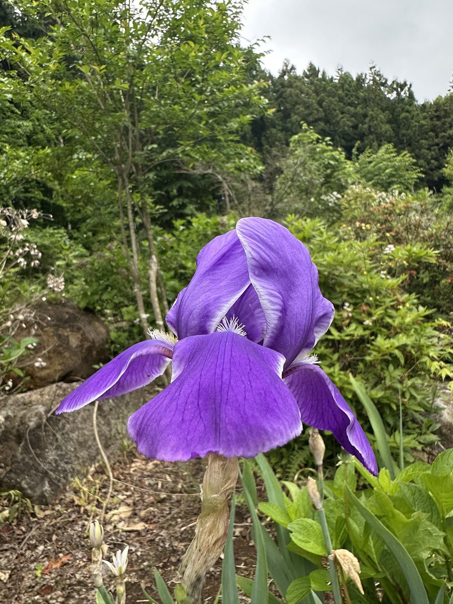 nasu_chourakuji's tweet photo. https://t.co/icgku9qOf4