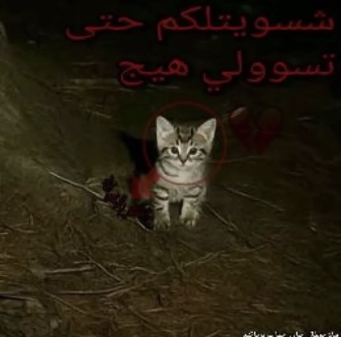 مِن الشّجَن tweet media