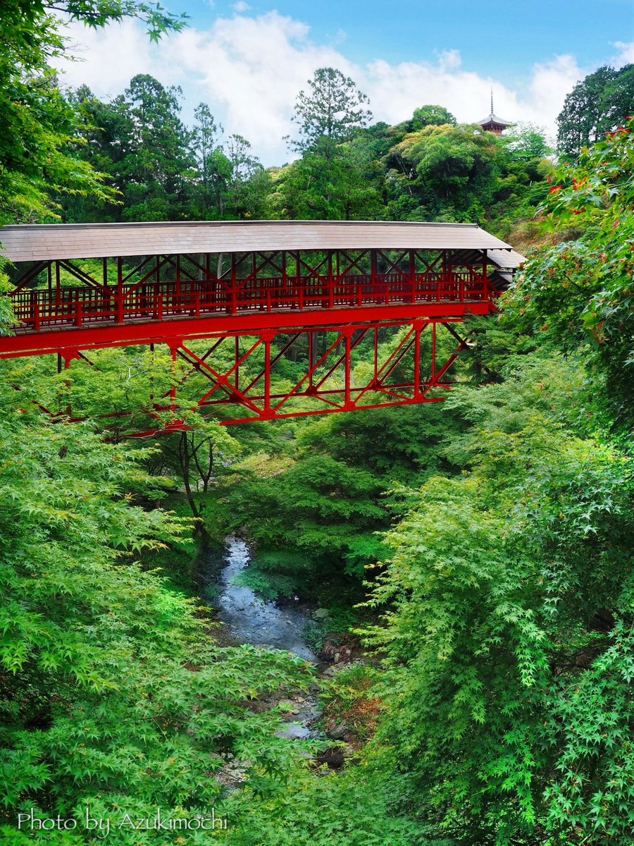 azukimochi_room's tweet photo. 新緑の奥山半僧坊が超絶景

5月23日撮影 https://t.co/n8NX1iqlH2