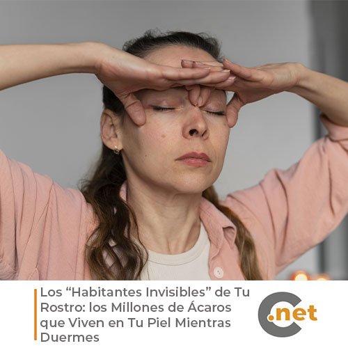carabobo_net's tweet photo. Aunque no los veas, ahora mismo pequeños organismos microscópicos recorren tu rostro. Viven en los poros, se alimentan de grasa natural de la piel y salen principalmente por la noche. Su nombre puede sonar inquietante: ácaros Demodex.

Léelo aquí 👇🌐

https://t.co/OM496LXNBF https://t.co/uo3egh3i9W