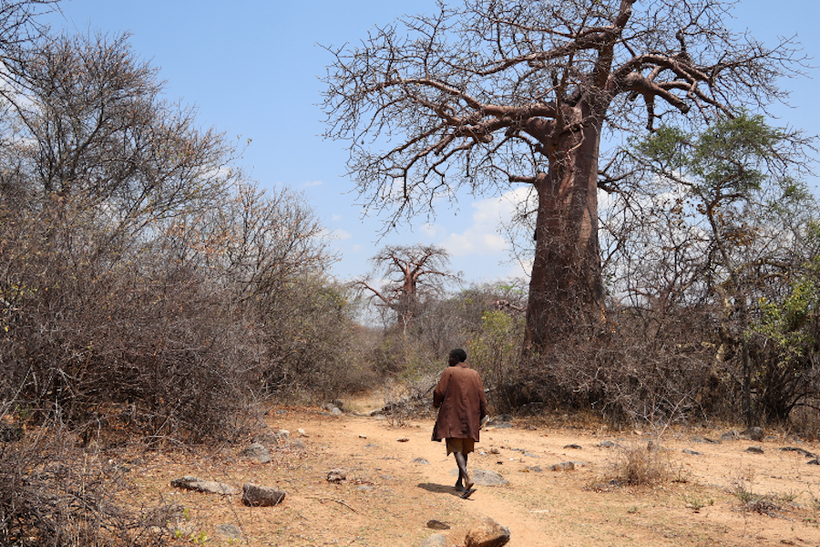 ExpertFile's tweet photo. Another must-read piece by the #experts @Baylor !

#ExpertSpotlight: Hunter-Gatherer ‘Egalitarianism’ Is More Complicated Than We Thought

“Looking at the actual motivations and mechanisms of redistribution and limiting power gives us a more realistic approach and a clearer view of what egalitarianism actually is." - D. Stibbard Hawkes, Ph.D.

https://t.co/YwOtGokWeB