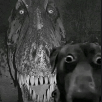 Marciszek___'s tweet photo. Someone draw this as Yinglong and one of the sinners pls https://t.co/Hmjtmi8Jpt