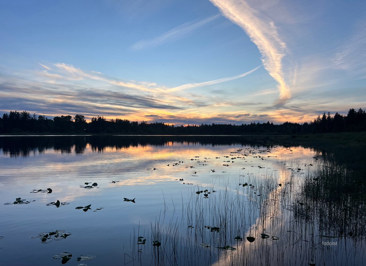 fodoist's tweet photo. a sunset reflection https://t.co/vLKG07UX3r