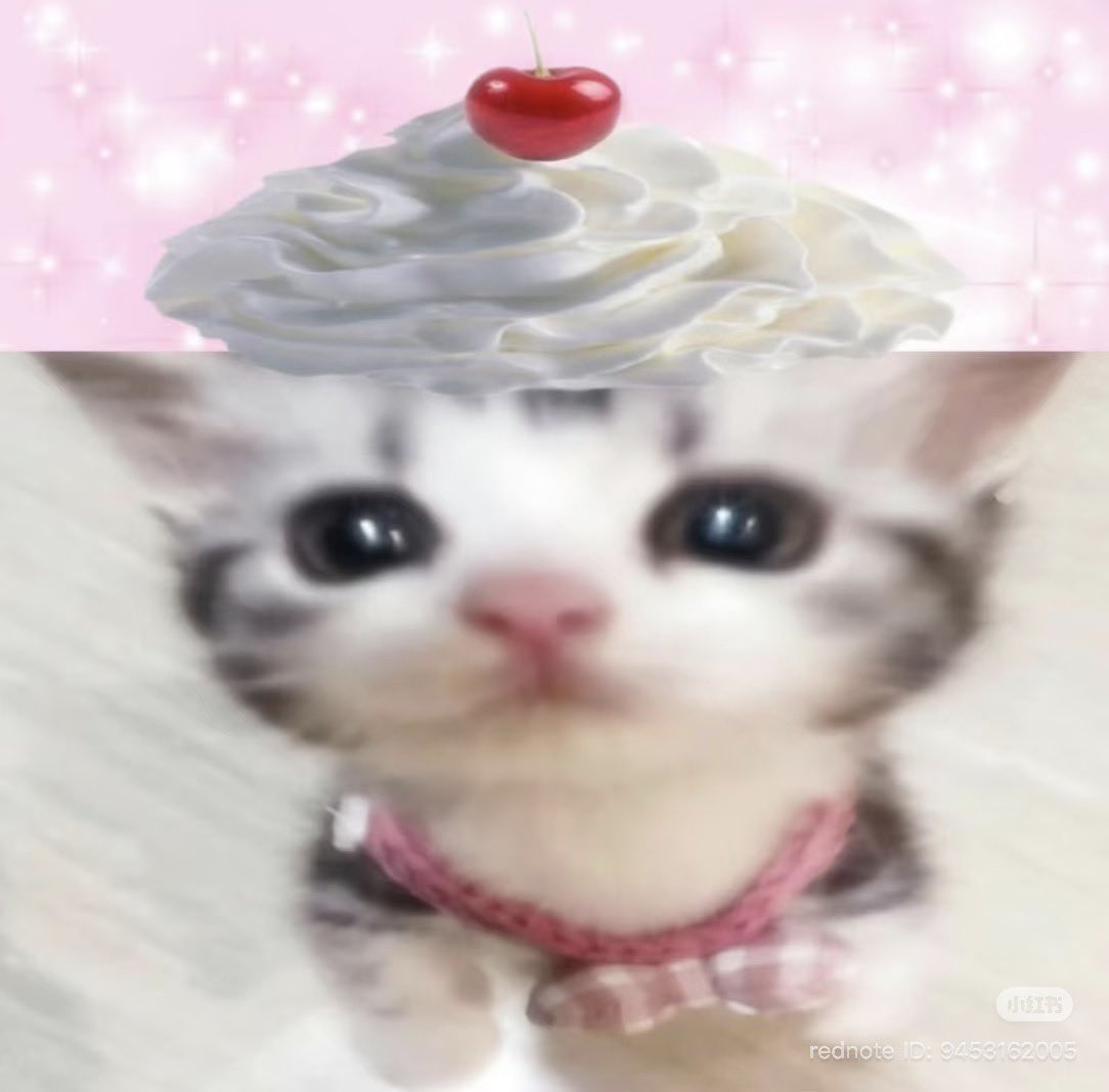 ˖ ꜝ❤︎ kimi 𑣲 ⏦゚ tweet media