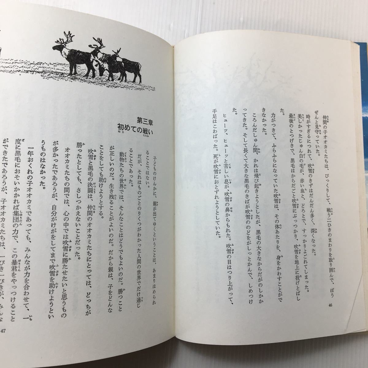 waeirfaahl's tweet photo. Yukio Togawa's 1972 book "Under Aurora". White wolfdog Blizzard, son of wolf King and husky Yukon, born in his father's pack. He returned with his dog mother to humans, who named him #Balto and made him the leader of sled team, so he led the team with the medicine to Nome. part 1 https://t.co/ri1DSU1oCu