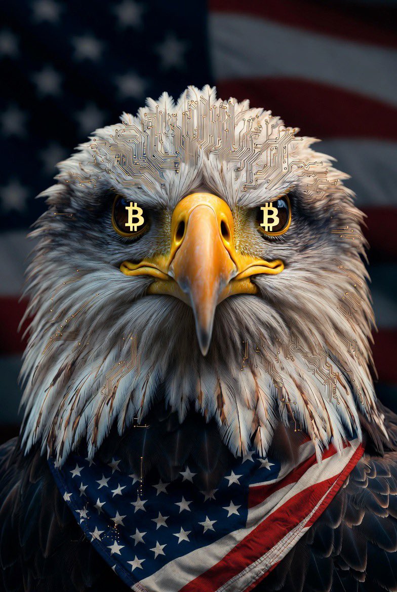 American Bitcoin tweet media