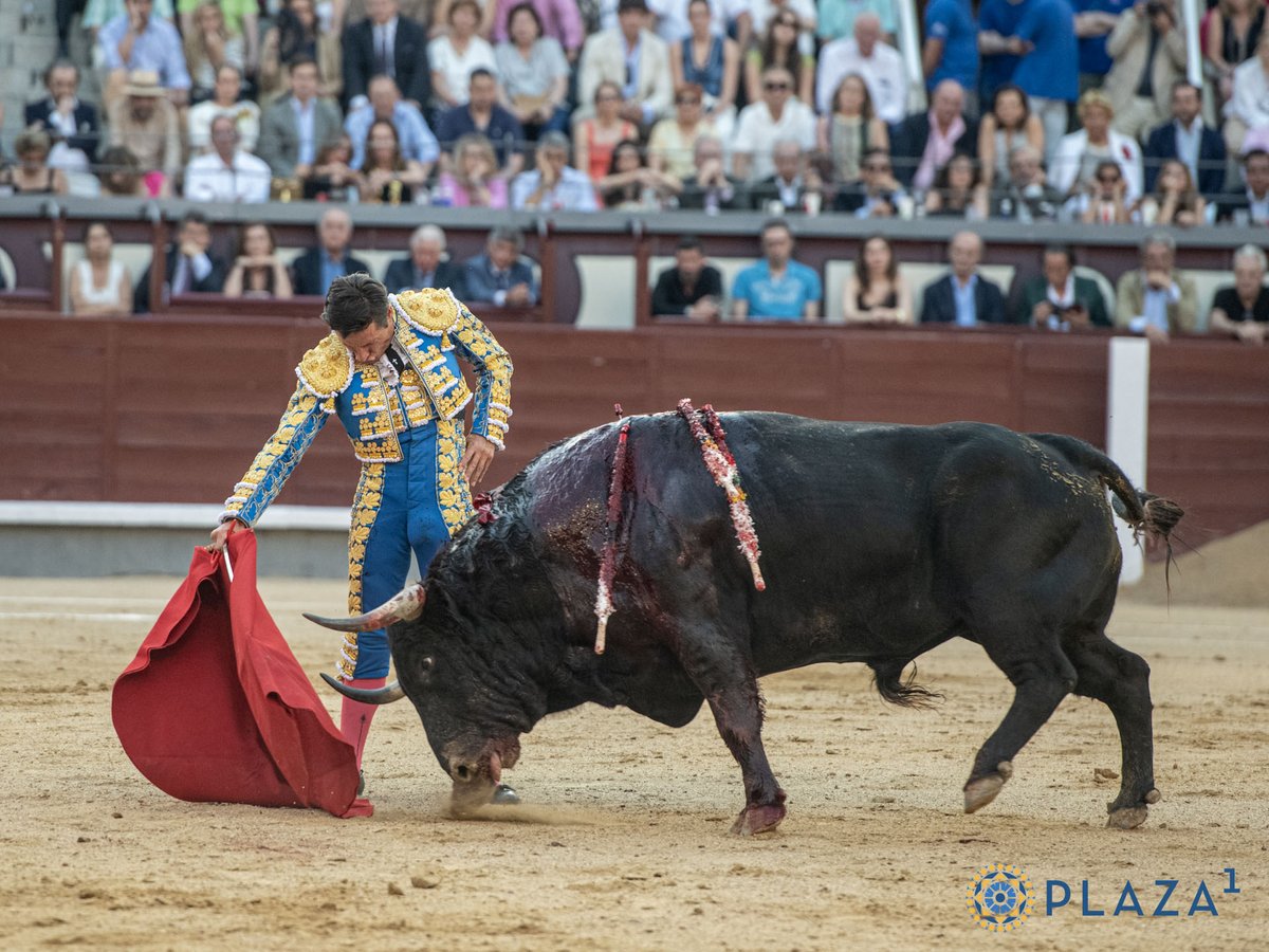 El arte de Belmonte tweet media