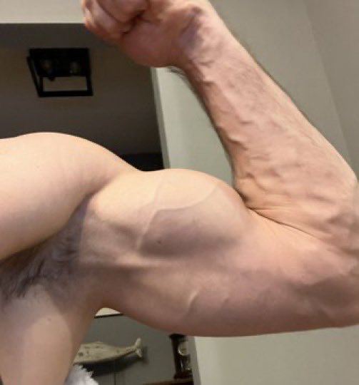 PurebredAlpha's tweet photo. Which arm do you want reaching in your wallet.  Left or right ?  💪

#findom #elitealpha #jock https://t.co/VJT1aWtQE5