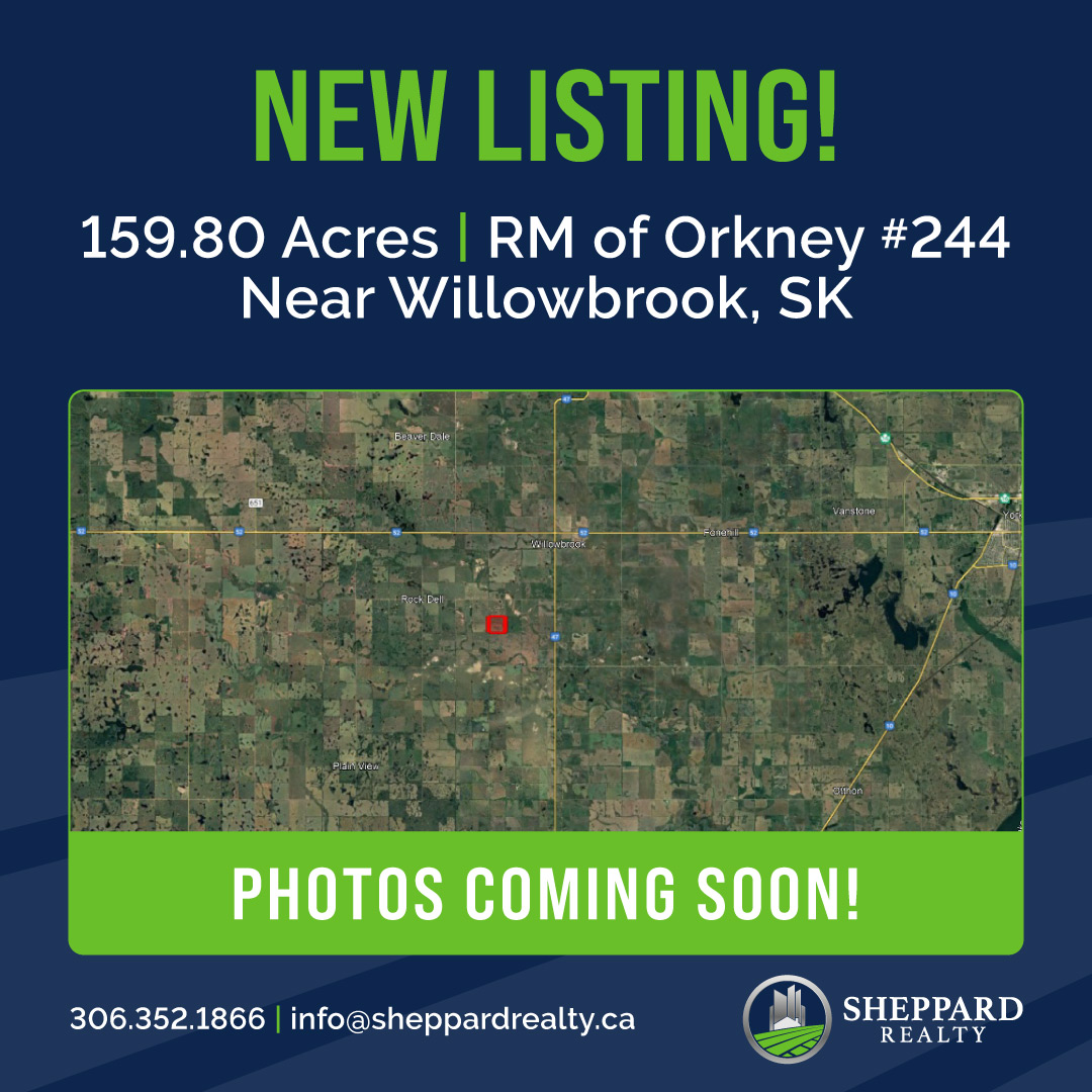 SheppardRealty's tweet photo. COMING SOON!

159.80 ISC acres near Willowbrook, SK in the RM of Orkney # 244. Features 140 cultivated acres (SAMA), productive Yorkton/Oxbow Loam soil, and a 66.81 SAMA FRWA. Asking Price: $675,000

Details coming soon.

#SheppardRealty #SKRealEstate #SaskatchewanRealEstate https://t.co/yvNXrrLt2K
