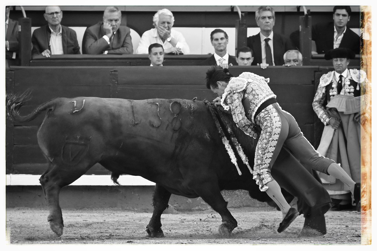 Javier_Arroyo's tweet photo. Diego Urdiales #LasVentas @urdialesweb 
©️ Arroyo / @aplausos https://t.co/2sx5p6z3Uy