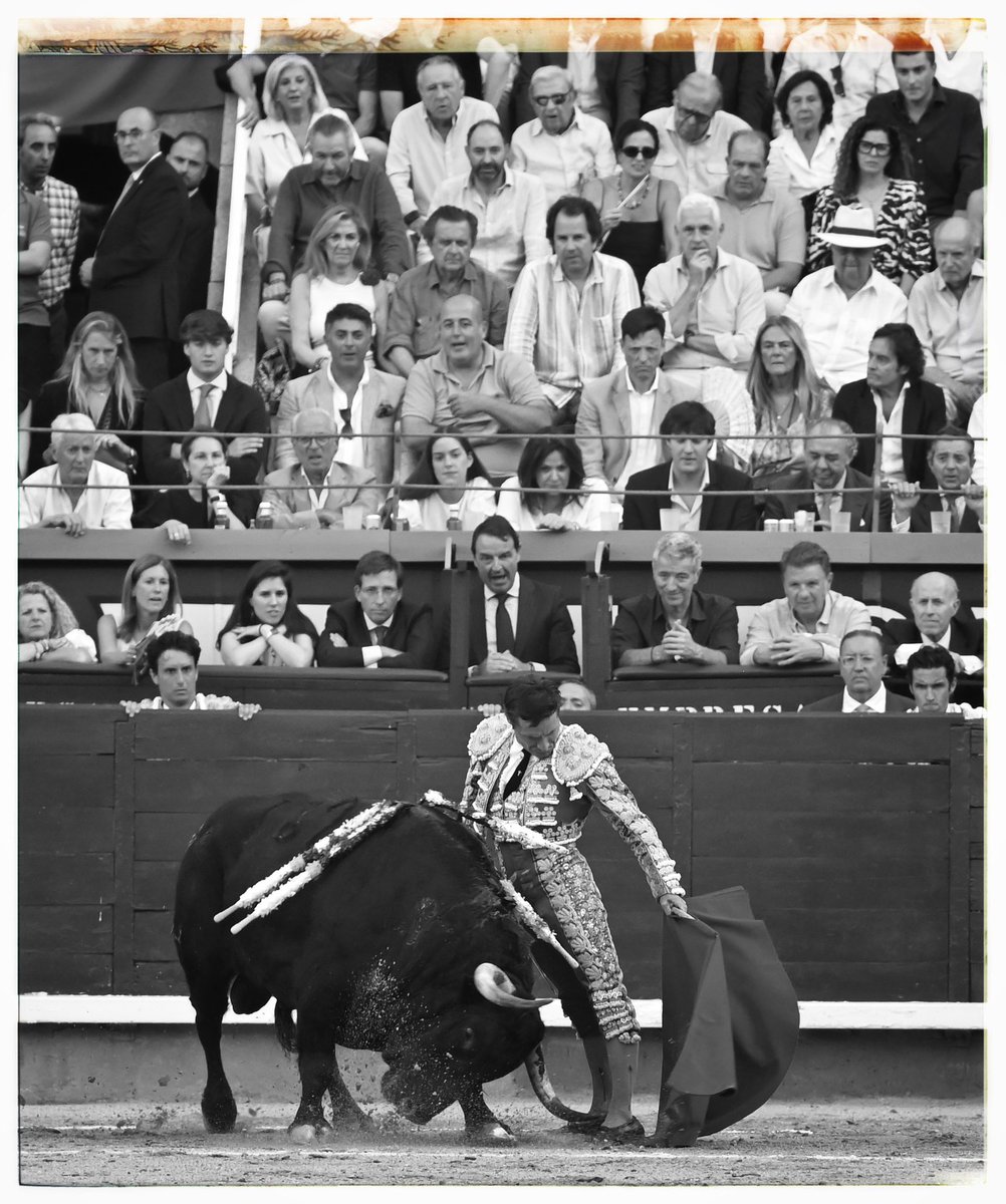 Javier_Arroyo's tweet photo. Diego Urdiales #LasVentas @urdialesweb 
©️ Arroyo / @aplausos https://t.co/2sx5p6z3Uy
