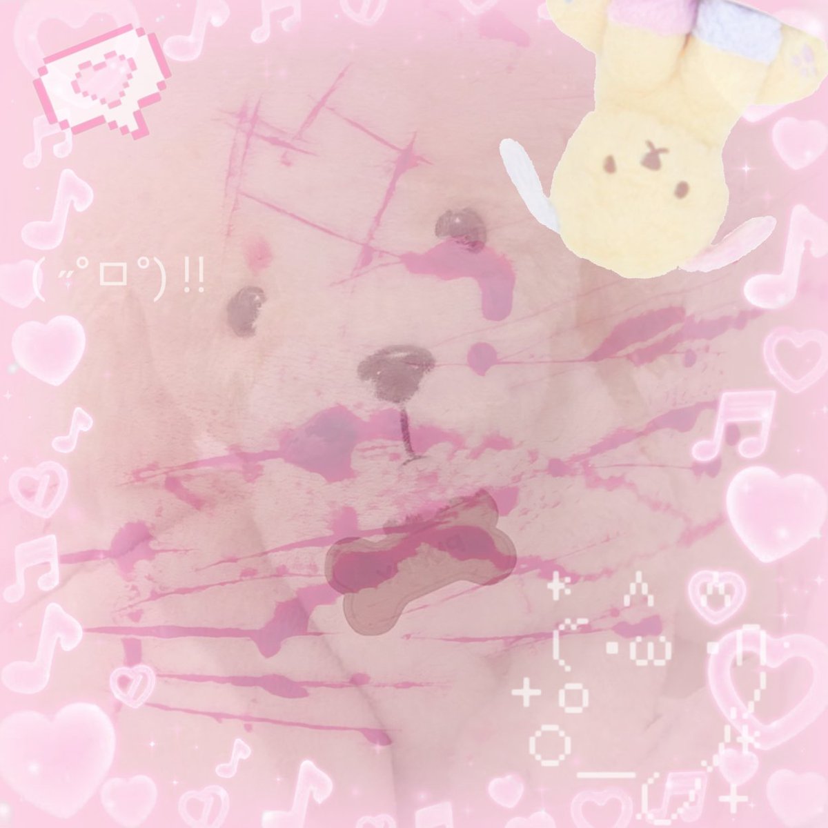 Puppy! (@Puppycookiex) / Posts / X