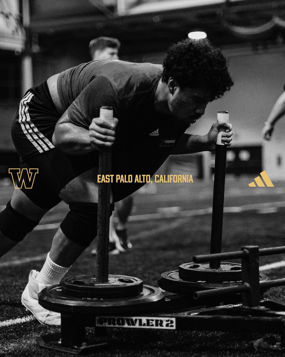 UW_Football's tweet photo. Meet the Pack: Soane Faasolo @SoaneFaasolo saw action in all 13 games during the 2025 season earning a spot on the Big Ten All-Academic team. He’s studying Real Estate ☔️ https://t.co/yRbJ3VsT3h
