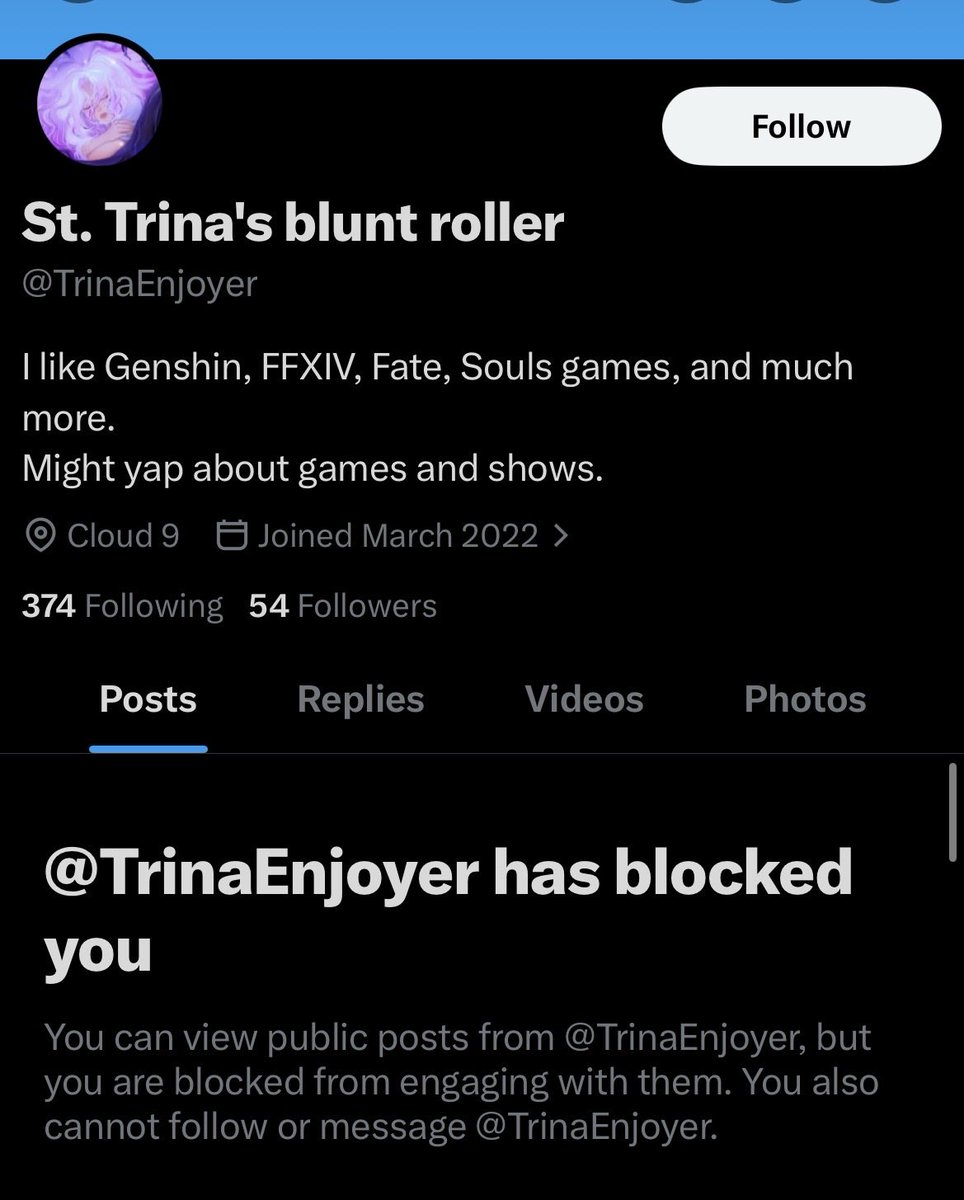eliana tweet media