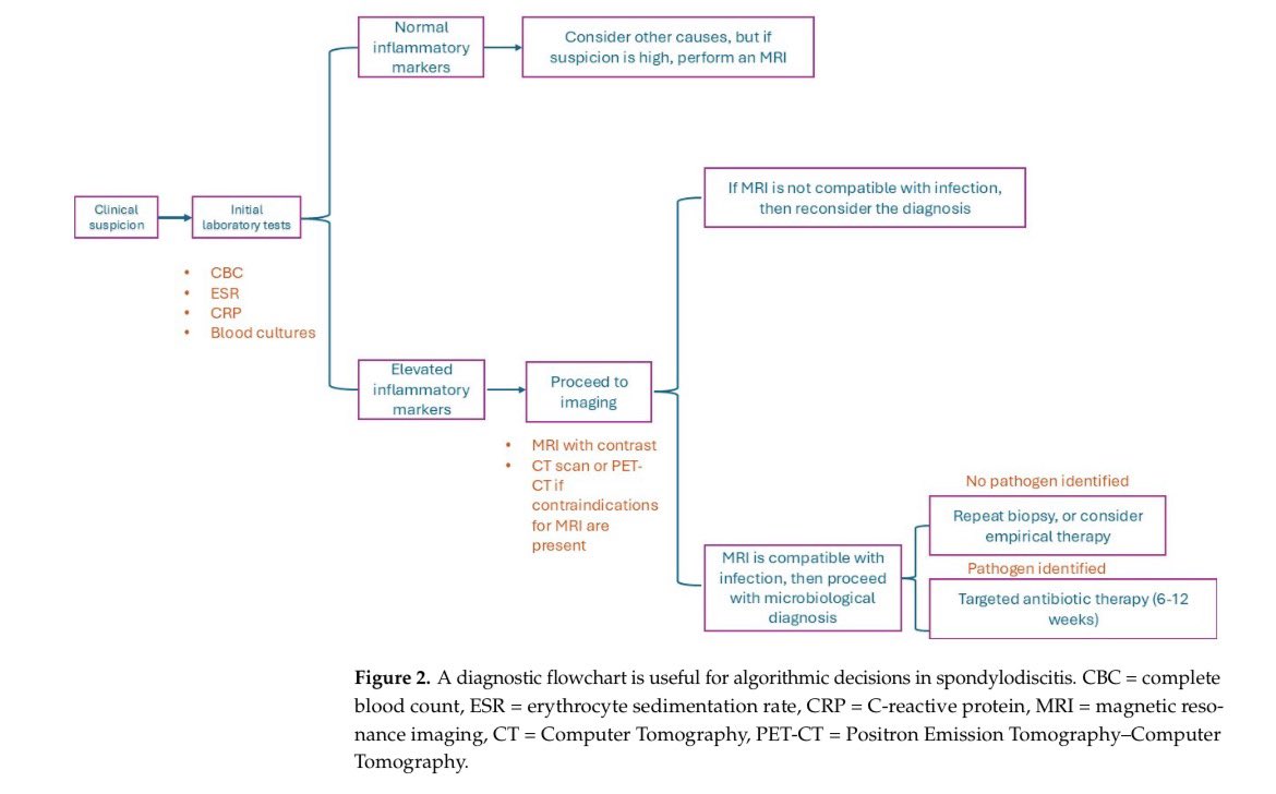 AliSMV7's tweet photo. Infectious Spondylodiscitis of Bacterial Causes in Adults: Epidemiology, Pathophysiology, Diagnostic and Treatment Challenges

https://t.co/zQw8kfi5uL https://t.co/EBlZtuvUSb