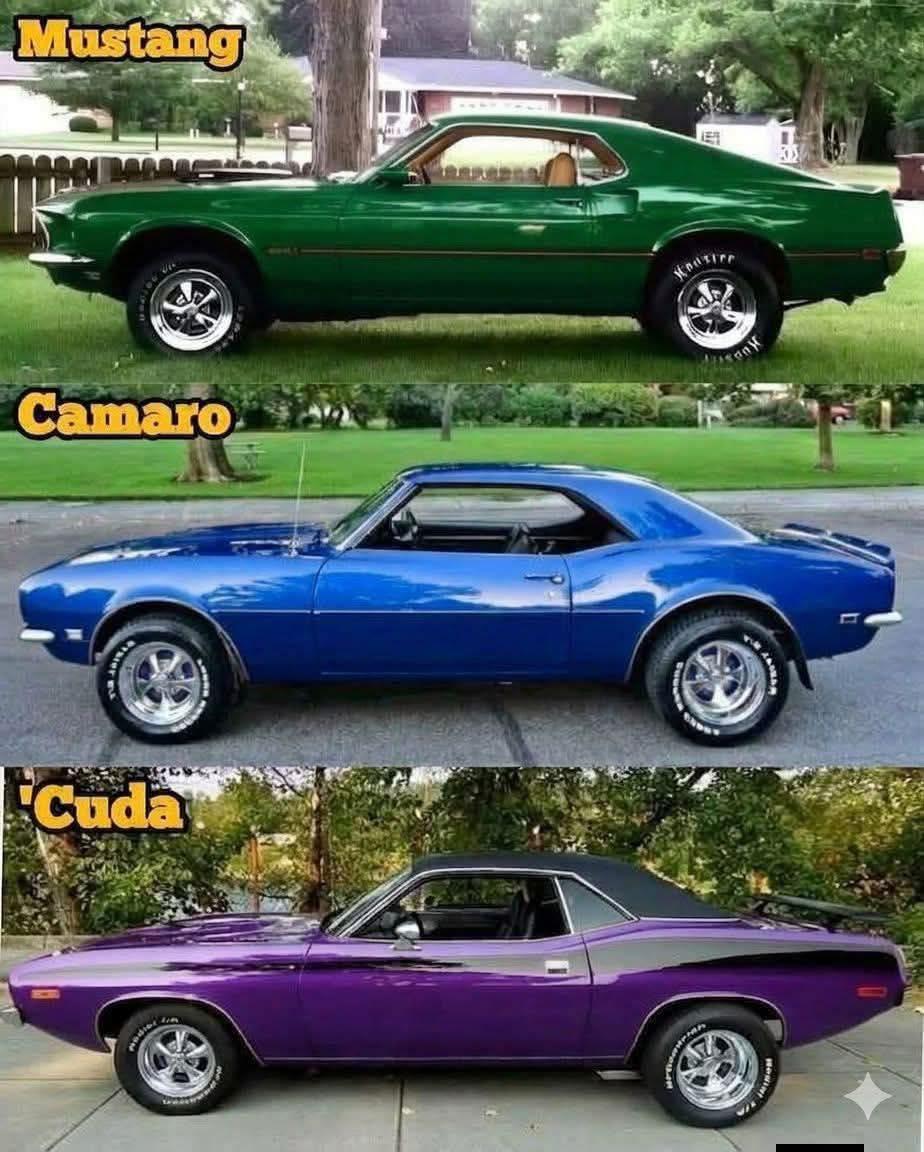 Bexvty's tweet photo. What did you choose? 🤔 https://t.co/mph3xePE55