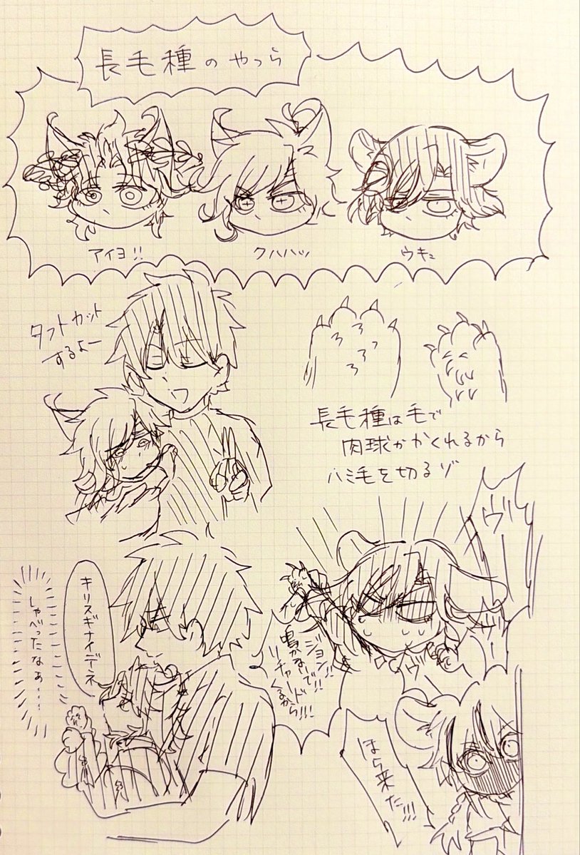 🐱達のハミ毛 
