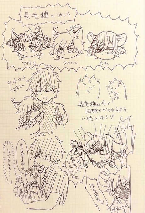 🐱達のハミ毛 