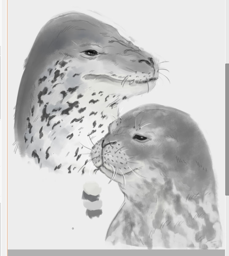 face1e33's tweet photo. this one not an actual 'ship art', just studies, but everything is a ship art... if you want.... https://t.co/9KqddwSJi8