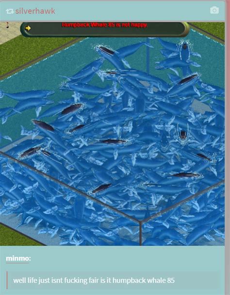 FredTheShark3's tweet photo. Frontier saw this image and immediately shut down the idea of cetaceans in Planet Zoo 2 https://t.co/C7bl2czmrS