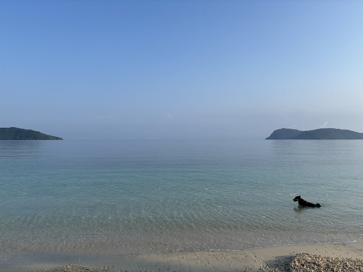 ayausi's tweet photo. 久々にイダの浜 https://t.co/CC9W7xm2H7