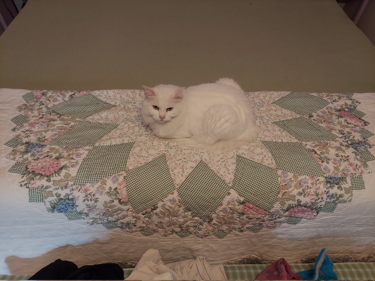 Bad_Babette's tweet photo. They realy Design this Quilt, jus for me to sit on https://t.co/eMX4YMzosA