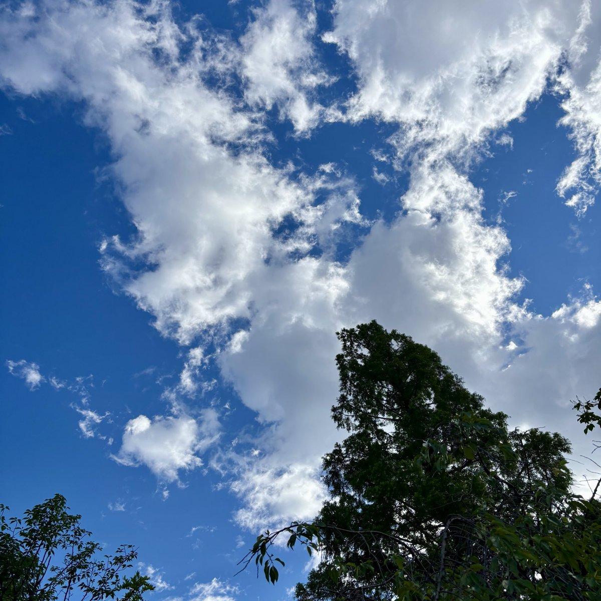 KAISEI48's tweet photo. おはようございます⛅️
真夏日の予想らしいよ😳
今日も楽しく〜 https://t.co/e8IgCyPKC8