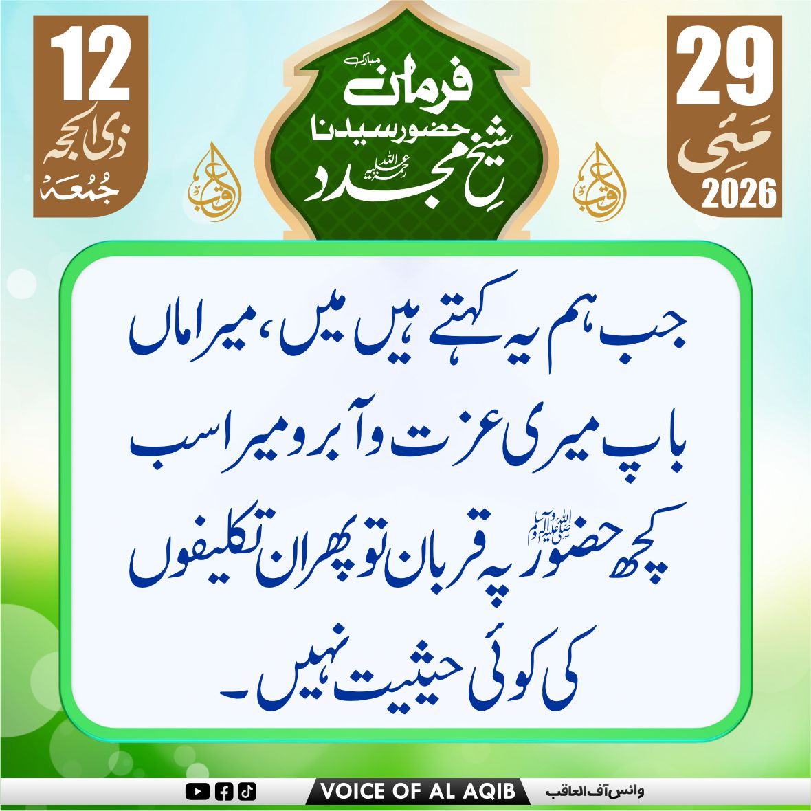 VOICE OF AL-AQIB tweet media