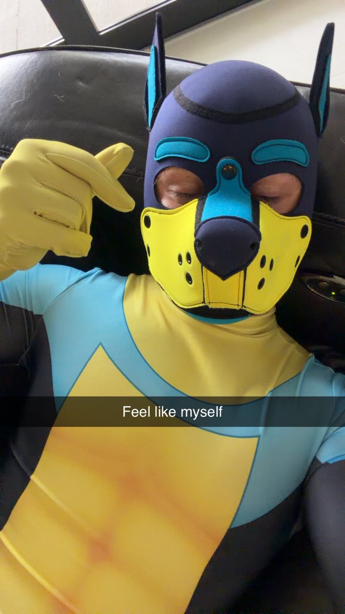 pup kai 💙🐶 tweet media