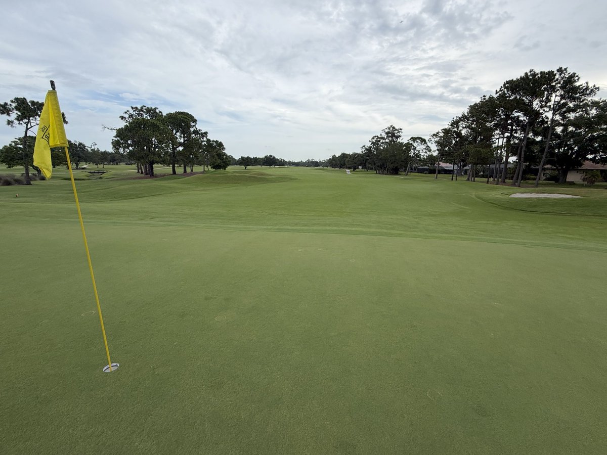 TurfMech70's tweet photo. Sara Bay!!! Looking good and about to go thru some needed aggressive cultural practices!!  @TurfsolutionsFL @FoliarPak https://t.co/0np5Gm2Zk1