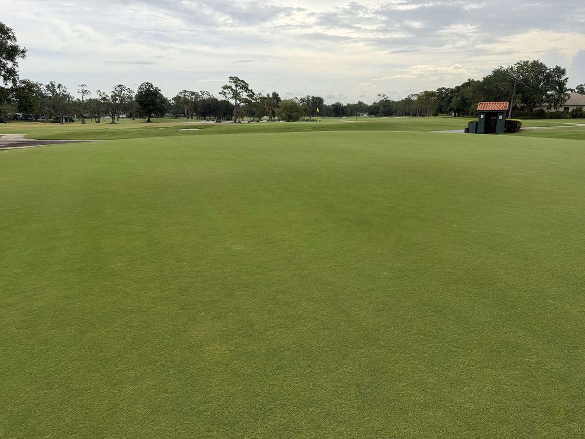 TurfMech70's tweet photo. Sara Bay!!! Looking good and about to go thru some needed aggressive cultural practices!!  @TurfsolutionsFL @FoliarPak https://t.co/0np5Gm2Zk1