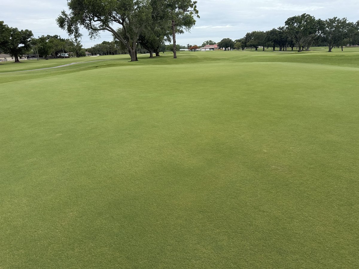 TurfMech70's tweet photo. Sara Bay!!! Looking good and about to go thru some needed aggressive cultural practices!!  @TurfsolutionsFL @FoliarPak https://t.co/0np5Gm2Zk1