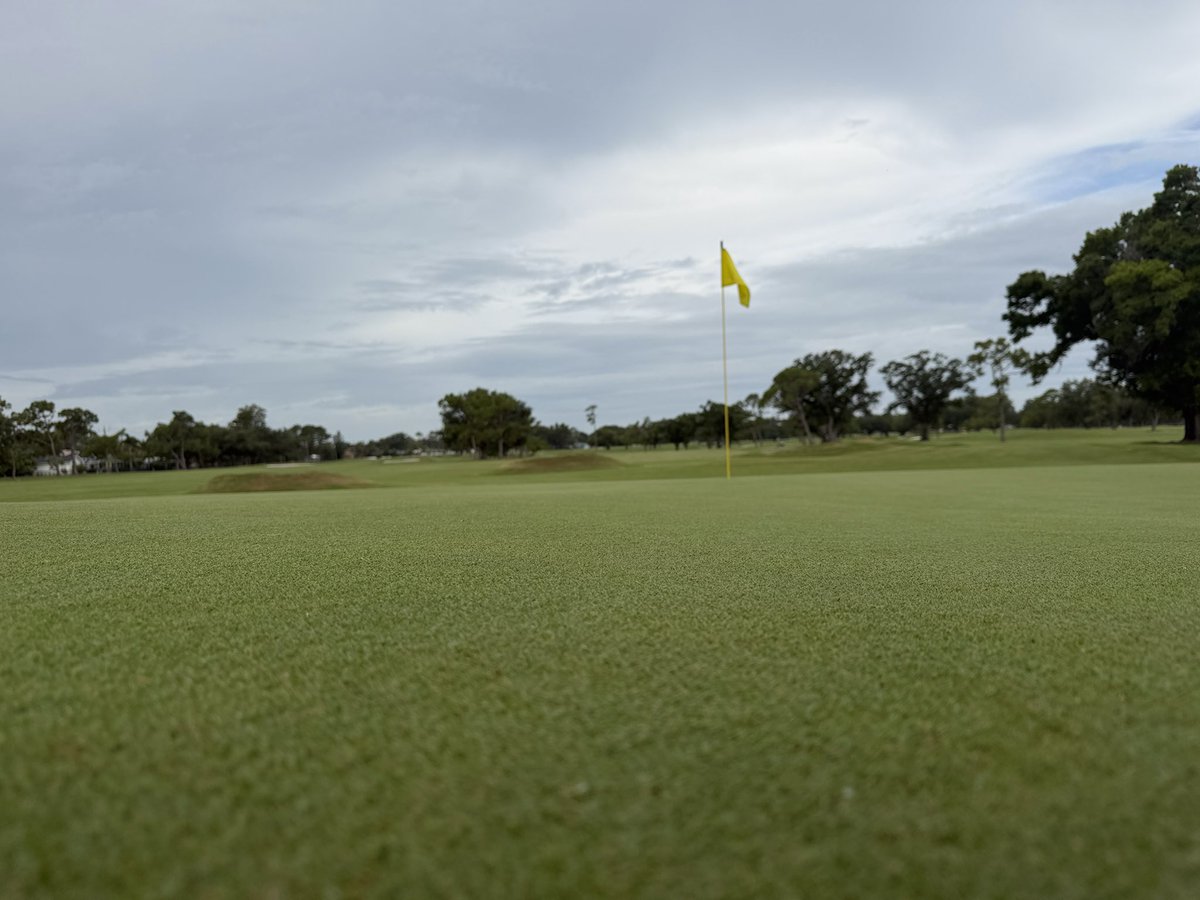 TurfMech70's tweet photo. Sara Bay!!! Looking good and about to go thru some needed aggressive cultural practices!!  @TurfsolutionsFL @FoliarPak https://t.co/0np5Gm2Zk1