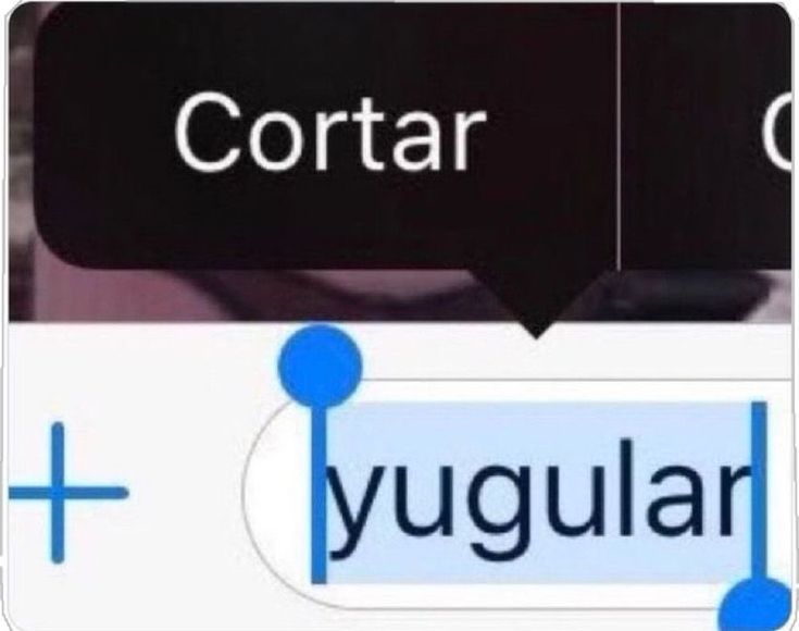 _karinalvs's tweet photo. "estás más gorda" si gracias ya lo sé jajajajajaajaj https://t.co/eUPGZ9qLYE