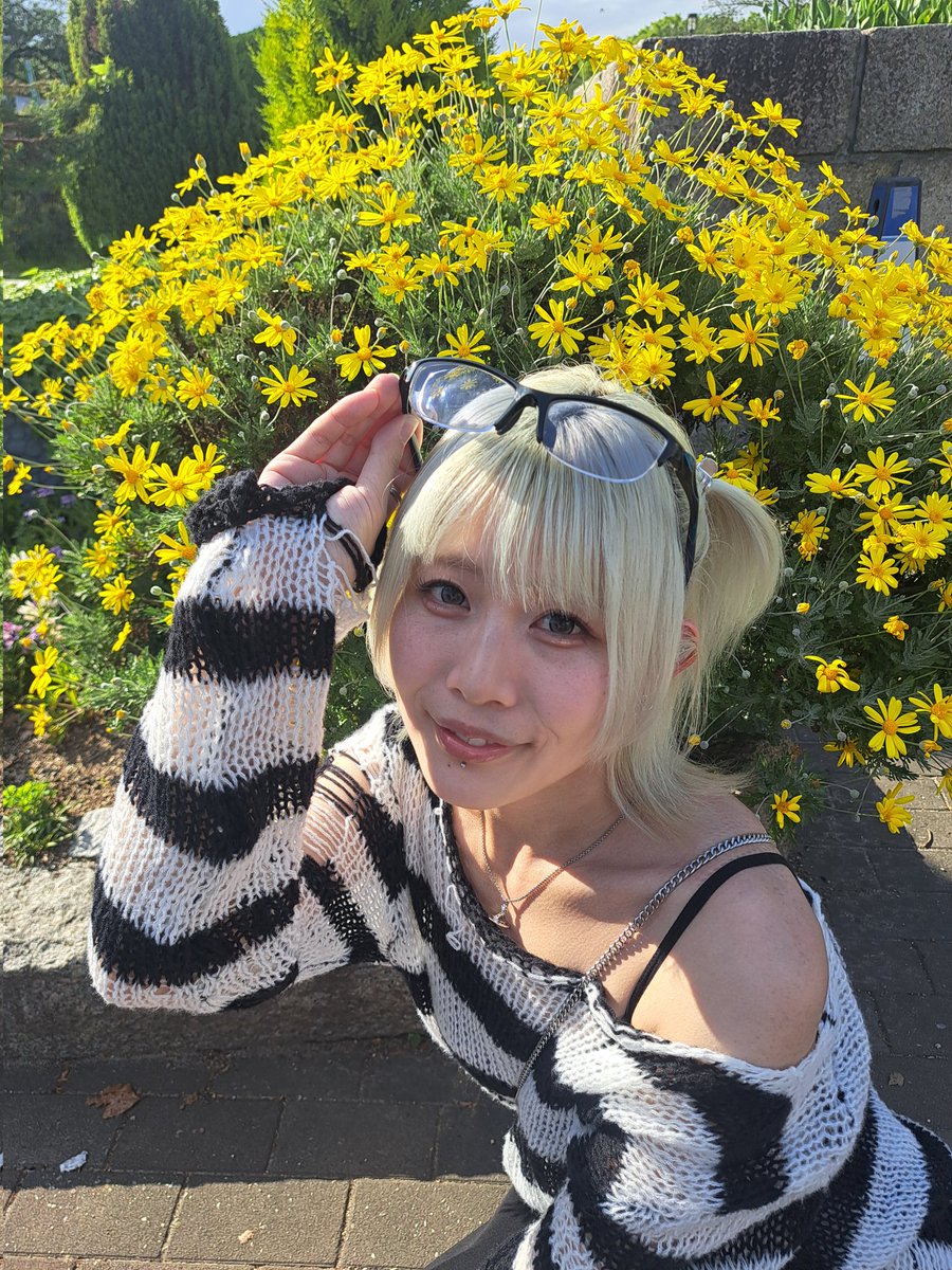 まさやん🤍👑 tweet media