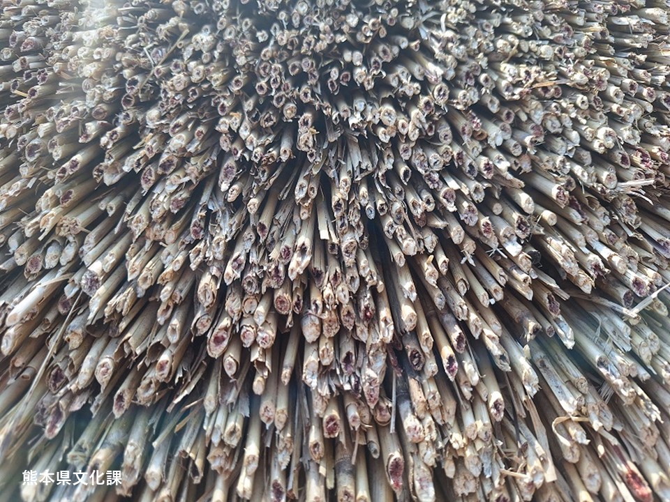 kumamoto_bunka's tweet photo. 【文化財紹介 #県指定重要文化財 #王宮神社楼門(#多良木町) #Ogu Shrine(#Taragi Town)】
問題です☝️この写真、一体何でしょう?
正解は茅葺屋根!
現在多良木町の王宮神社楼門の葺替工事実施中です!葺替直後は黄金色に輝き、とても美しい姿になります! https://t.co/sosFN9pjBs