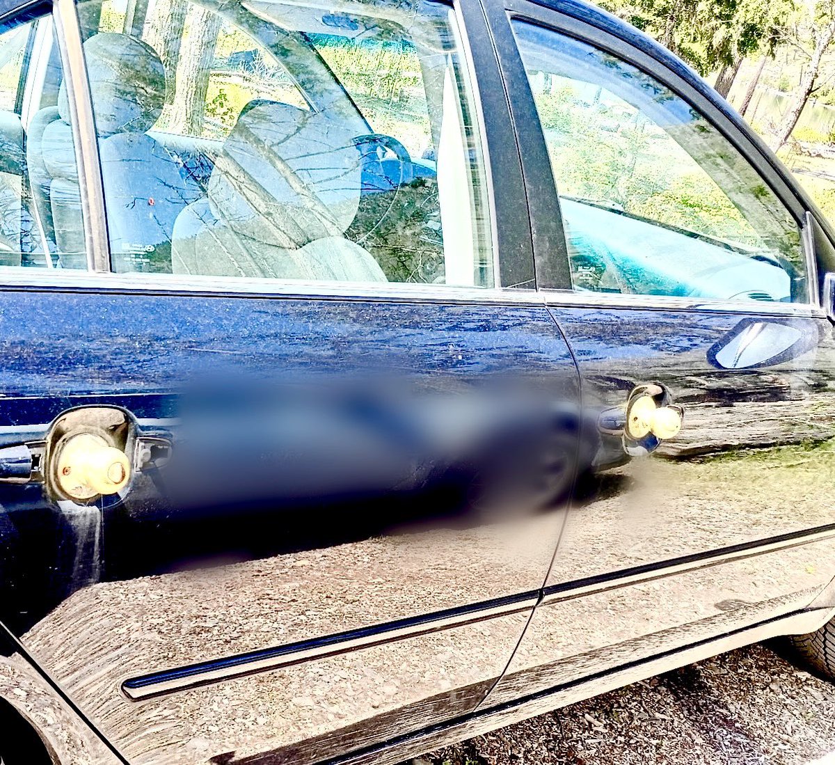 FlatheadTourons's tweet photo. Seen at Glacier Nat’l Park. 
Minnesota car with doorknobs for door handles. https://t.co/qFSLG2fIDk