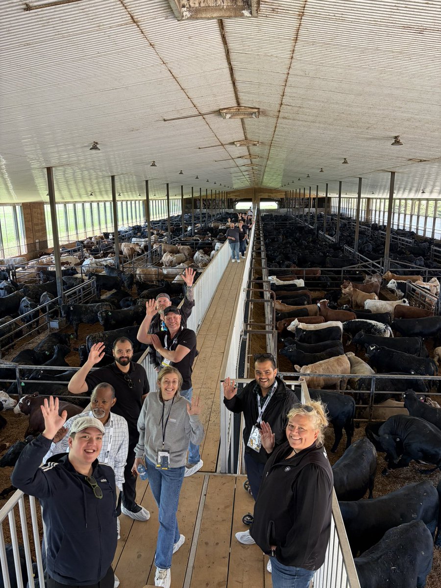 ONCornFedBeef's tweet photo. What a busy, incredible week at the Culinary Federation 2026 Conference! As Gold Partners, the Ontario Corn Fed Beef team loved connecting with chefs through premium food tastings, local farm tours, and a fantastic look at ag innovation at the Elora Research Station! 🌾🥩 #CF2026 https://t.co/EwzPBlYJkq