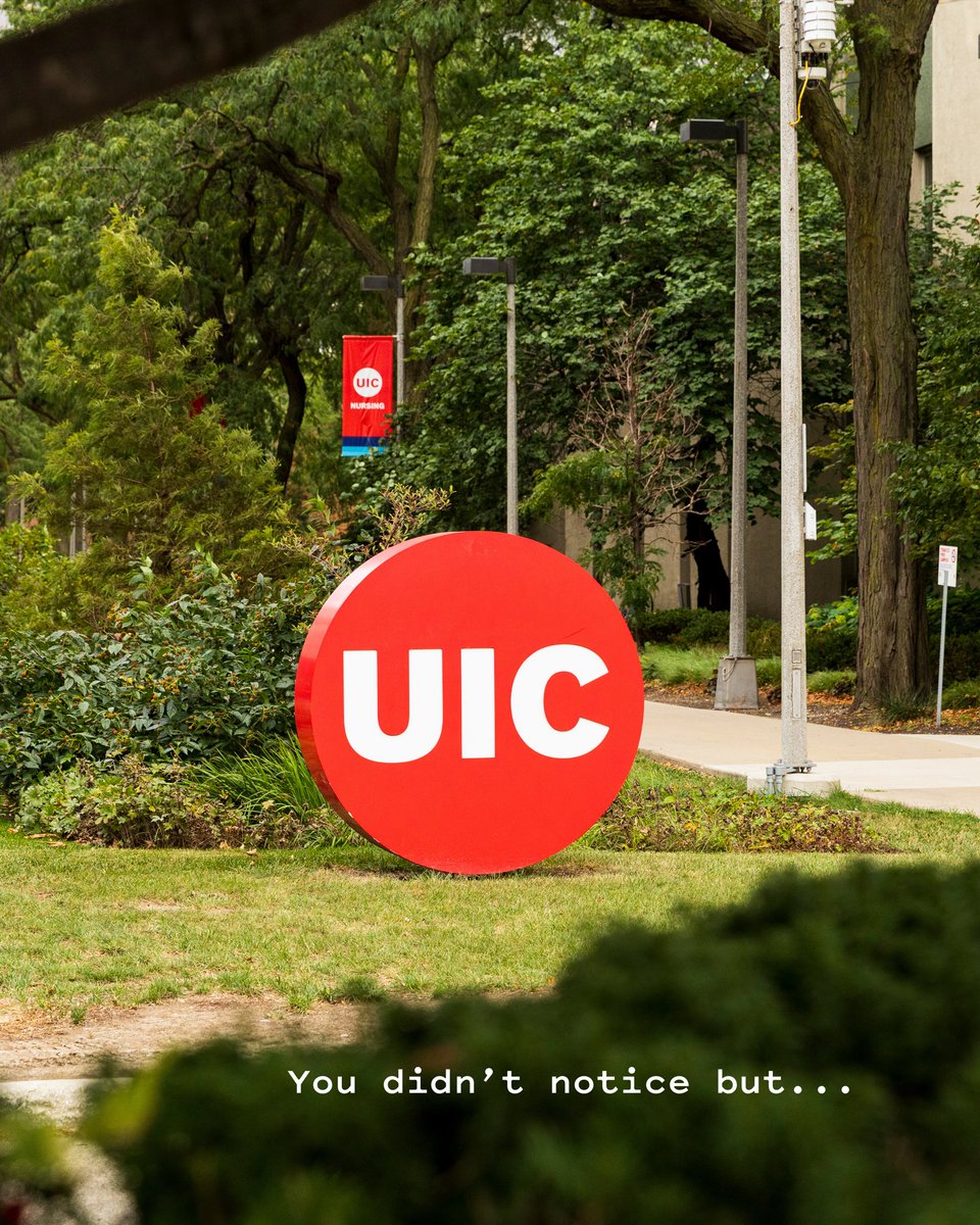 thisisUIC's tweet photo. You didn't notice but...the last four years flew by in an instant ❤️

#ThisIsUIC #UIC #Chicago #UICAlumni #UICGrad https://t.co/yy4AEnkq5D